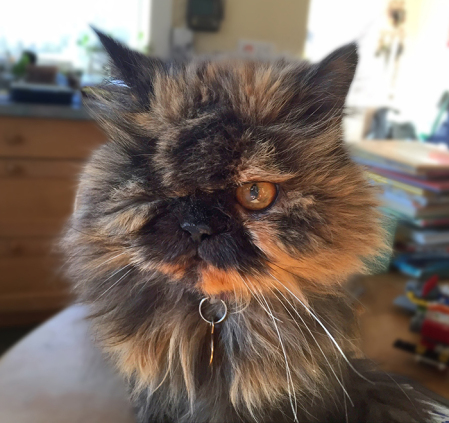 062916_CRT_TabithaFink_TheRealTabithaFink